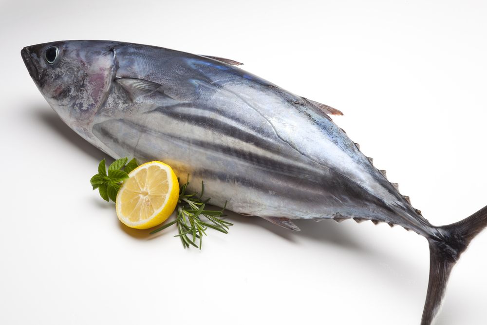 Why Am I Craving Tuna Fish