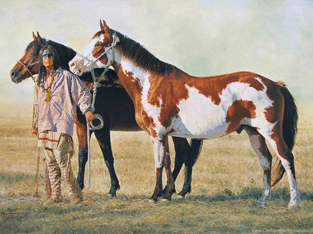 Indian Paint Horse
